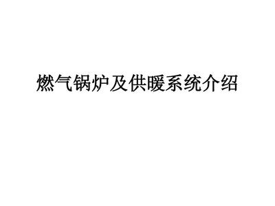 燃气锅炉系统介绍 (2)PPT