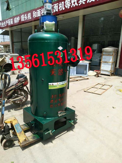 节能燃气锅炉的报价与厂家选购指南