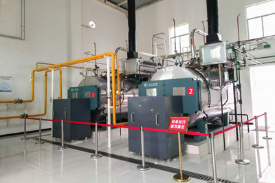 中正锅炉 定制化燃气锅炉方案赋能水产品深加工企业高效发展
