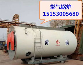 徐州市2吨燃气锅炉（WNS2-1.25）技术解析与应用展望